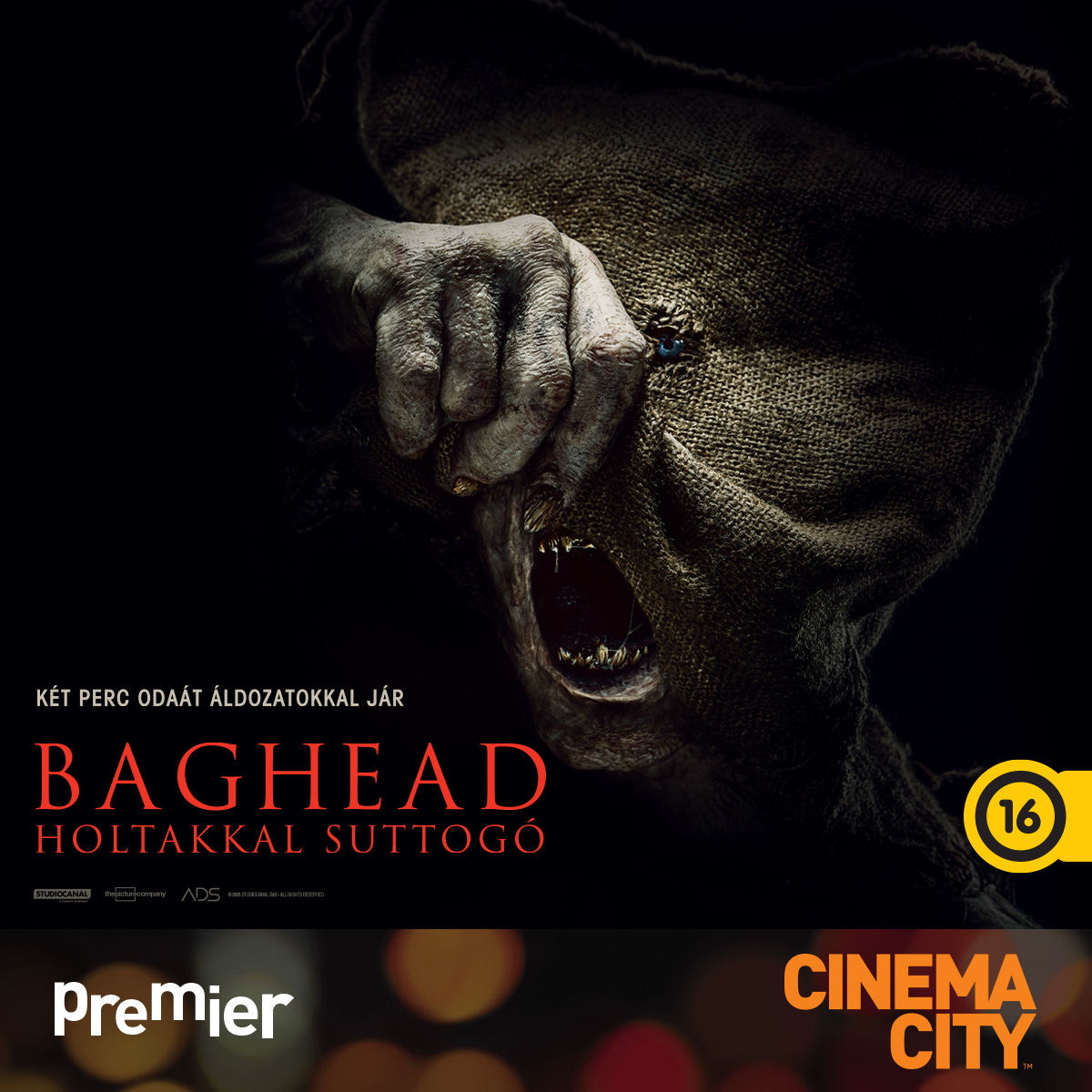 Baghead_1x1-16_2017_01.jpg