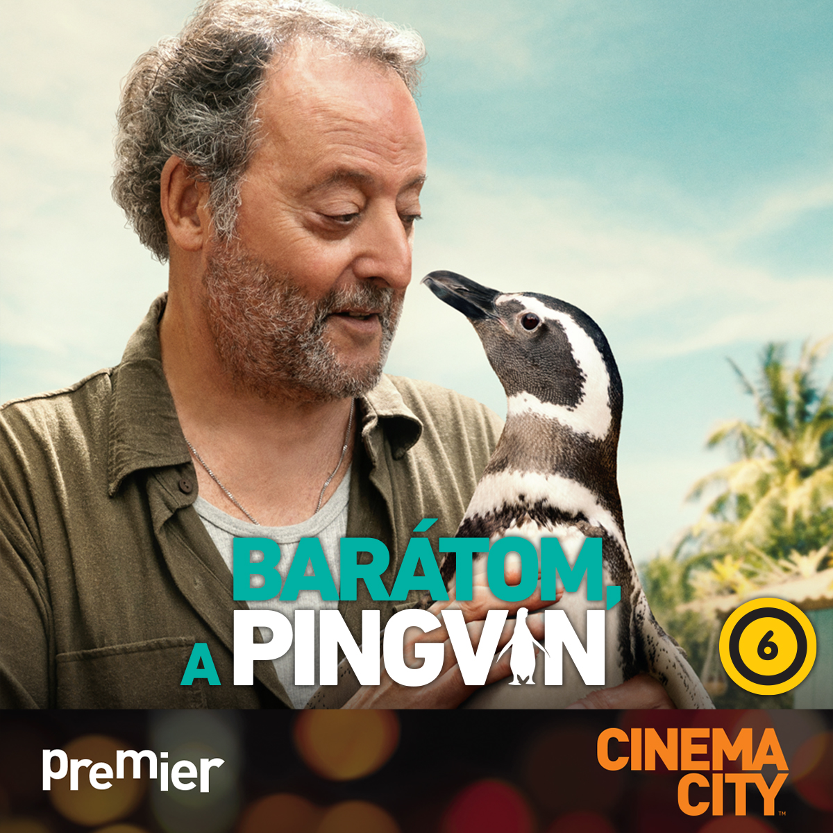 Barátom,-a-pingvin-1200x1200.jpg