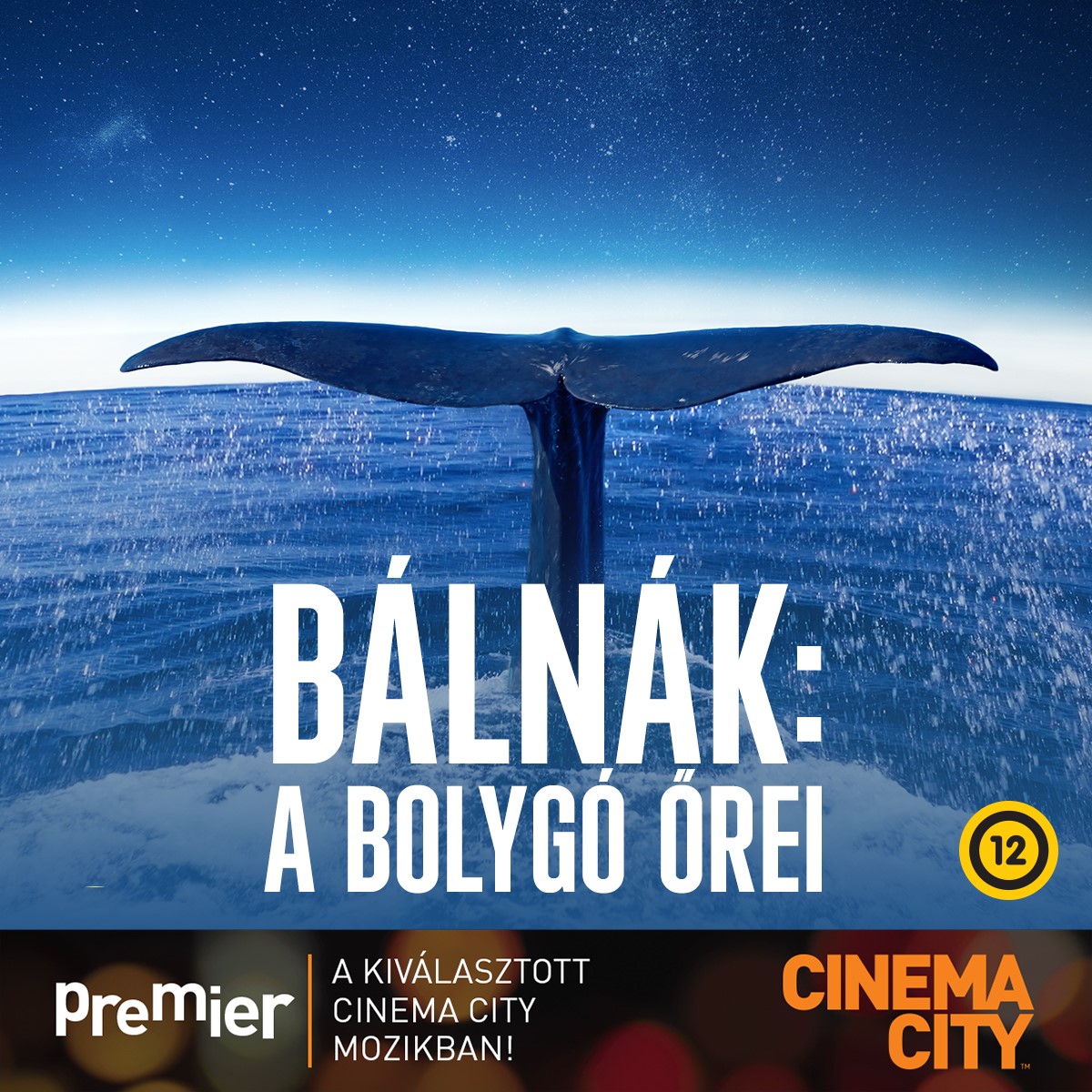 bálnák_1200x1200.jpg